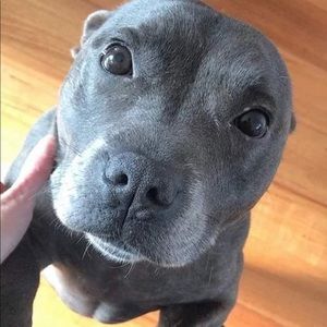 Meet your Posher, Veronica